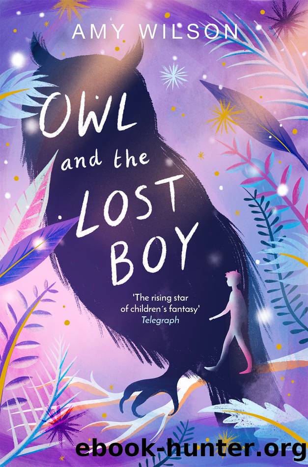 Owl and the Lost Boy by Amy Wilson