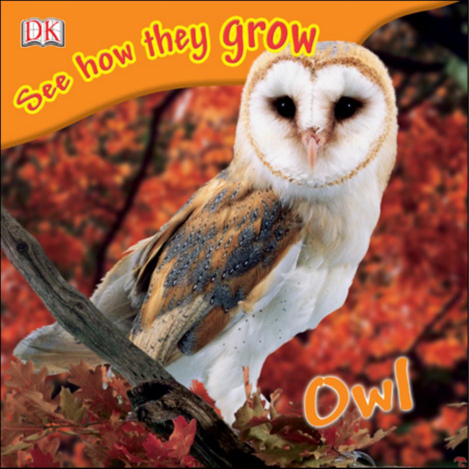 Owl by DK Publishing
