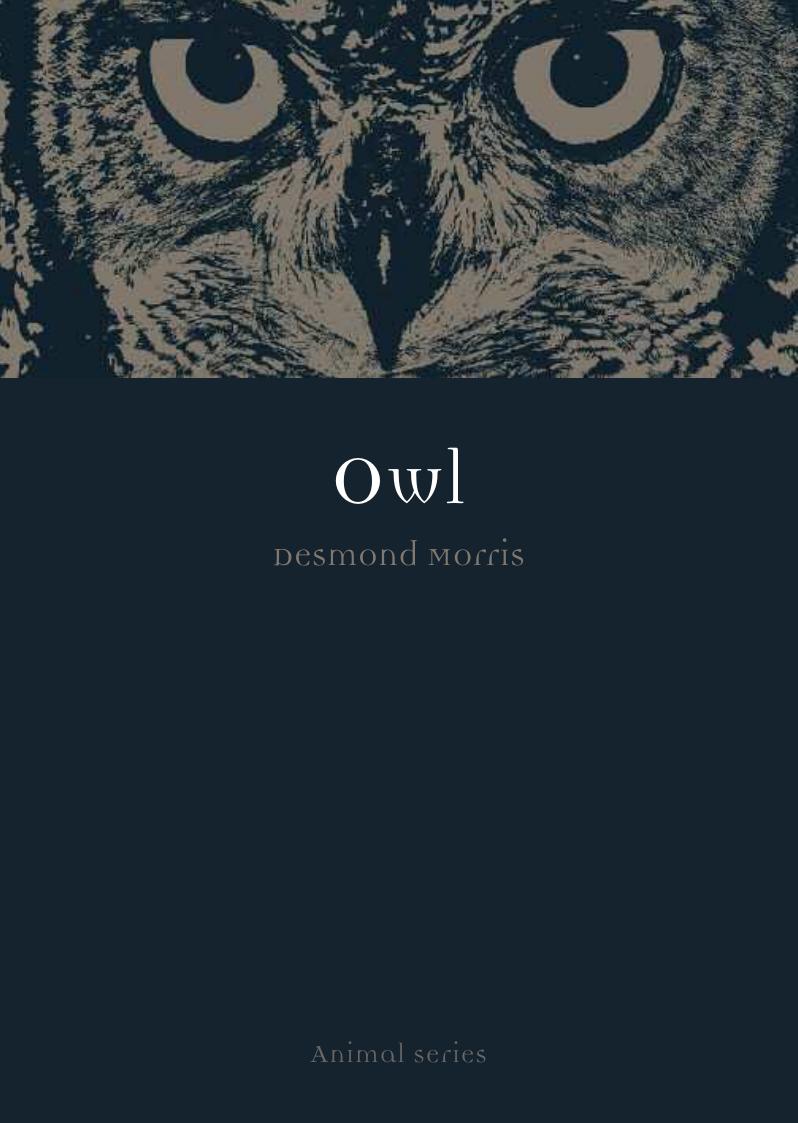 Owl by Desmond Morris