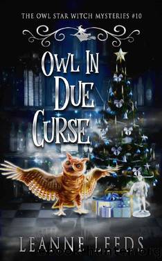 Owl in Due Curse (The Owl Star Witch Mysteries Book 10) by Leanne Leeds
