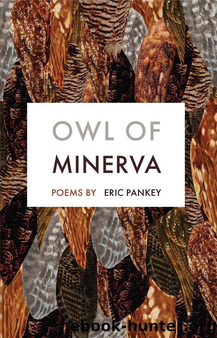 Owl of Minerva by Eric Pankey