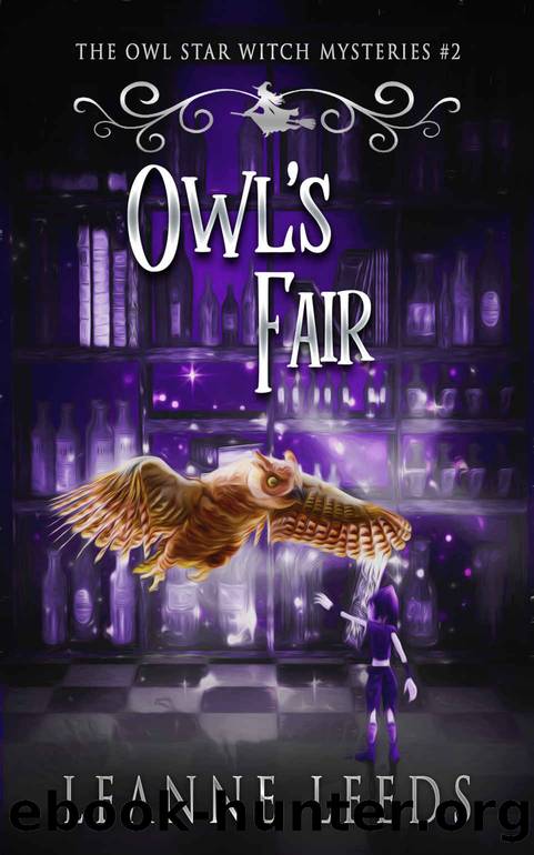 Owl's Fair by Leanne Leeds