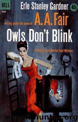 Owls Don't Blink by Erle Stanley Gardner & A A Fair