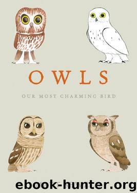 Owls by Matt Sewell
