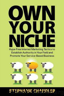 Own Your Niche: Hype-Free Internet Marketing Tactics to Establish Authority in Your Field and Promote Your Service-Based Business by Stephanie Chandler