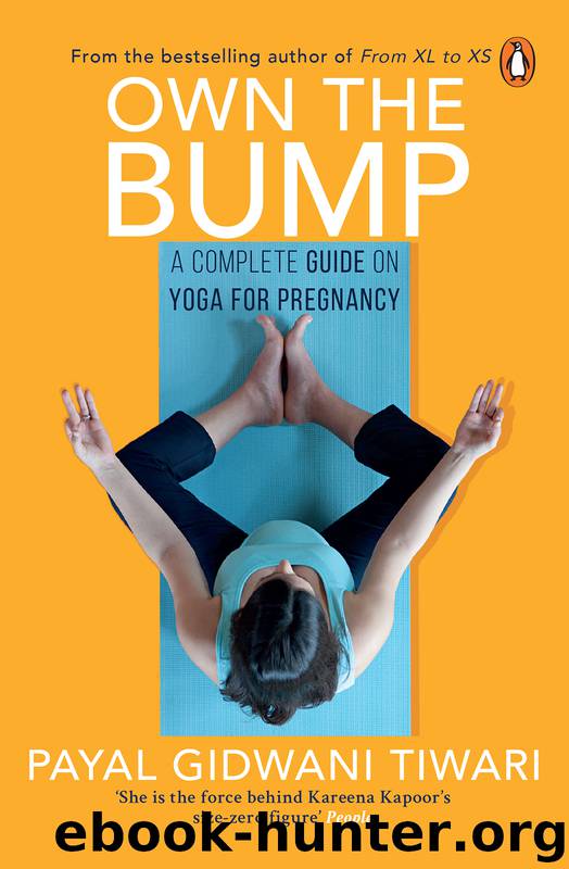 Own the Bump by Payal Gidwani Tiwari