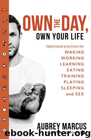 Own the Day, Own Your Life: Optimised practices for waking, working, learning, eating, training, playing, sleeping and sex by Marcus Aubrey