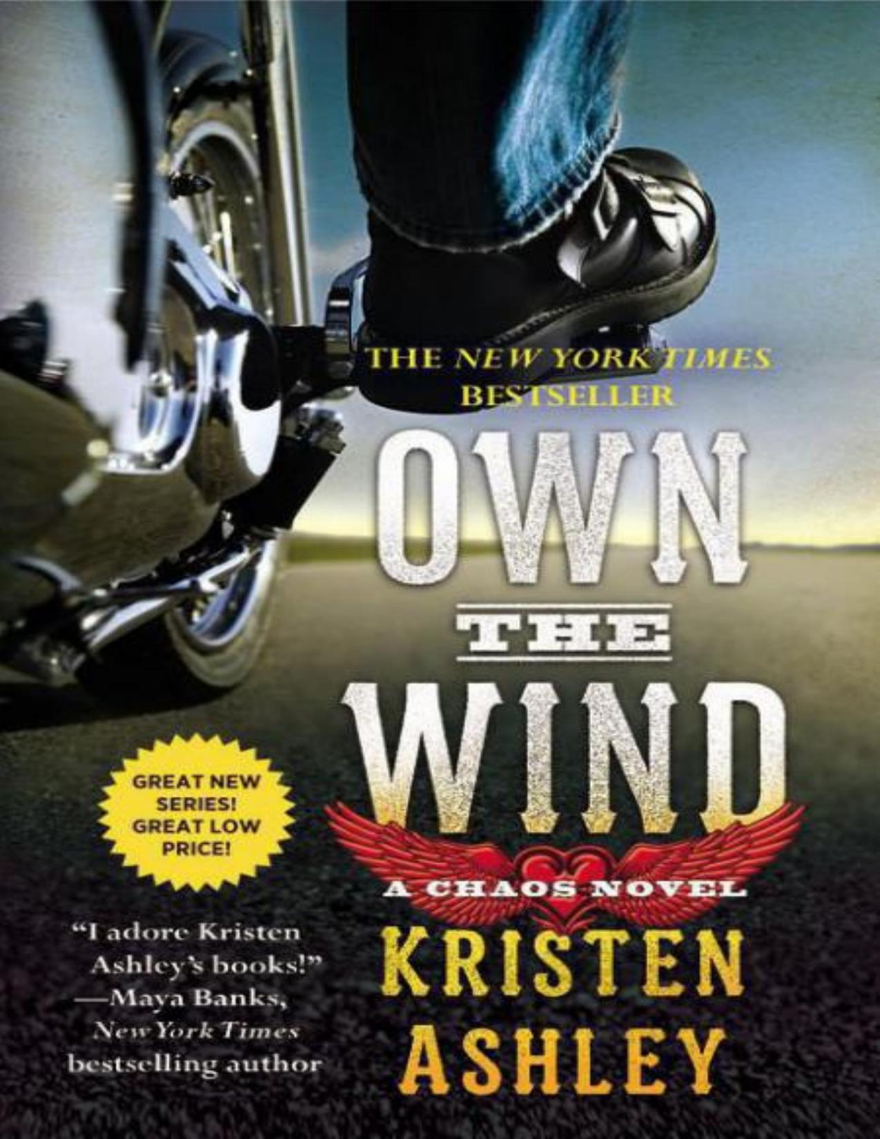 Own the Wind by Kristen Ashley