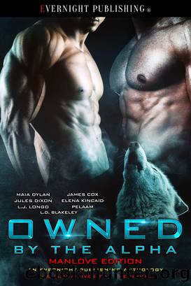 Owned by the Alpha by Maia Dylan