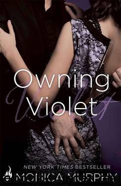 Owning Violet (The Fowler Sisters #1) by Monica Murphy