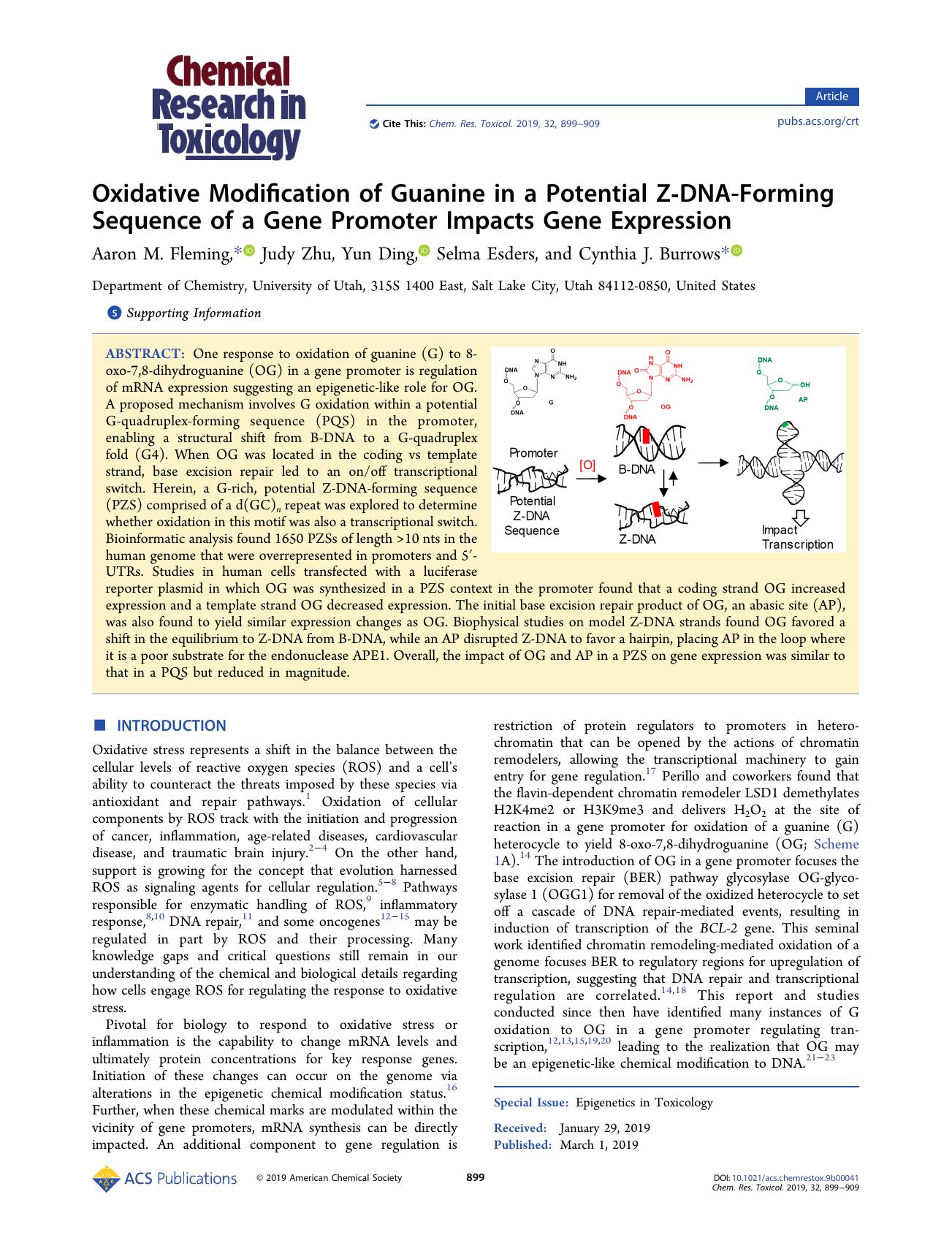 Oxidative Modification of Guanine in a Potential Z-DNA-Forming Sequence of a Gene Promoter Impacts Gene Expression by Aaron M. Fleming Judy Zhu Yun Ding Selma Esders and Cynthia J. Burrows