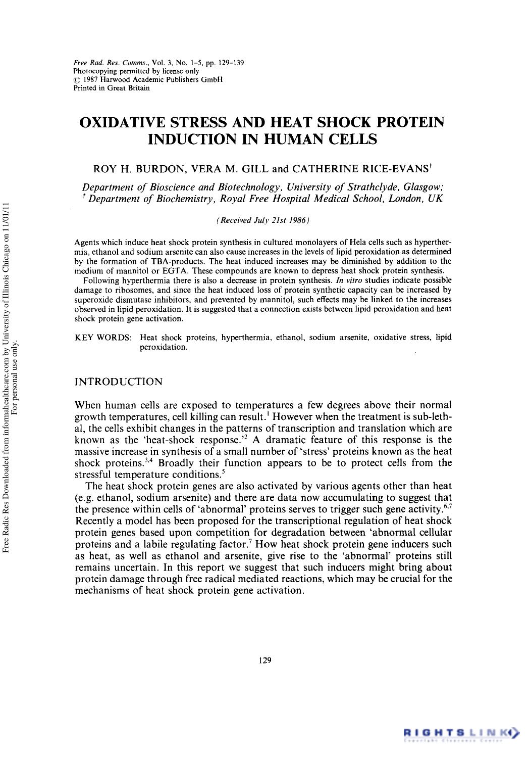 Oxidative Stress and Heat Shock Protein Induction in Human Cells by Roy H. Burdon1 Vera M. Gill1 & Catherine Rice-Evans1 2