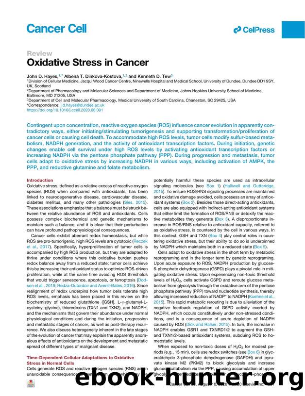 Oxidative Stress in Cancer by John D. Hayes & Albena T. Dinkova-Kostova & Kenneth D. Tew