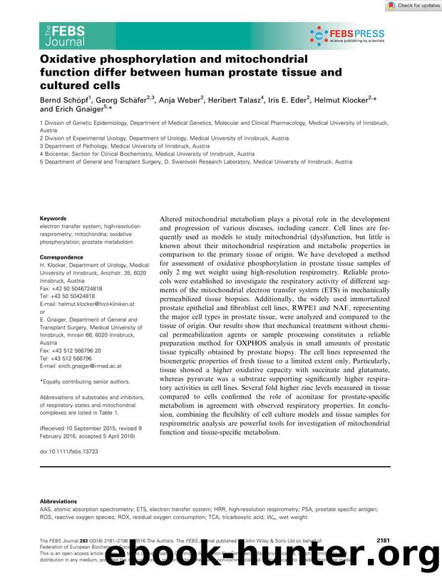 Oxidative phosphorylation and mitochondrial function differ between human prostate tissue and cultured cells by Unknown