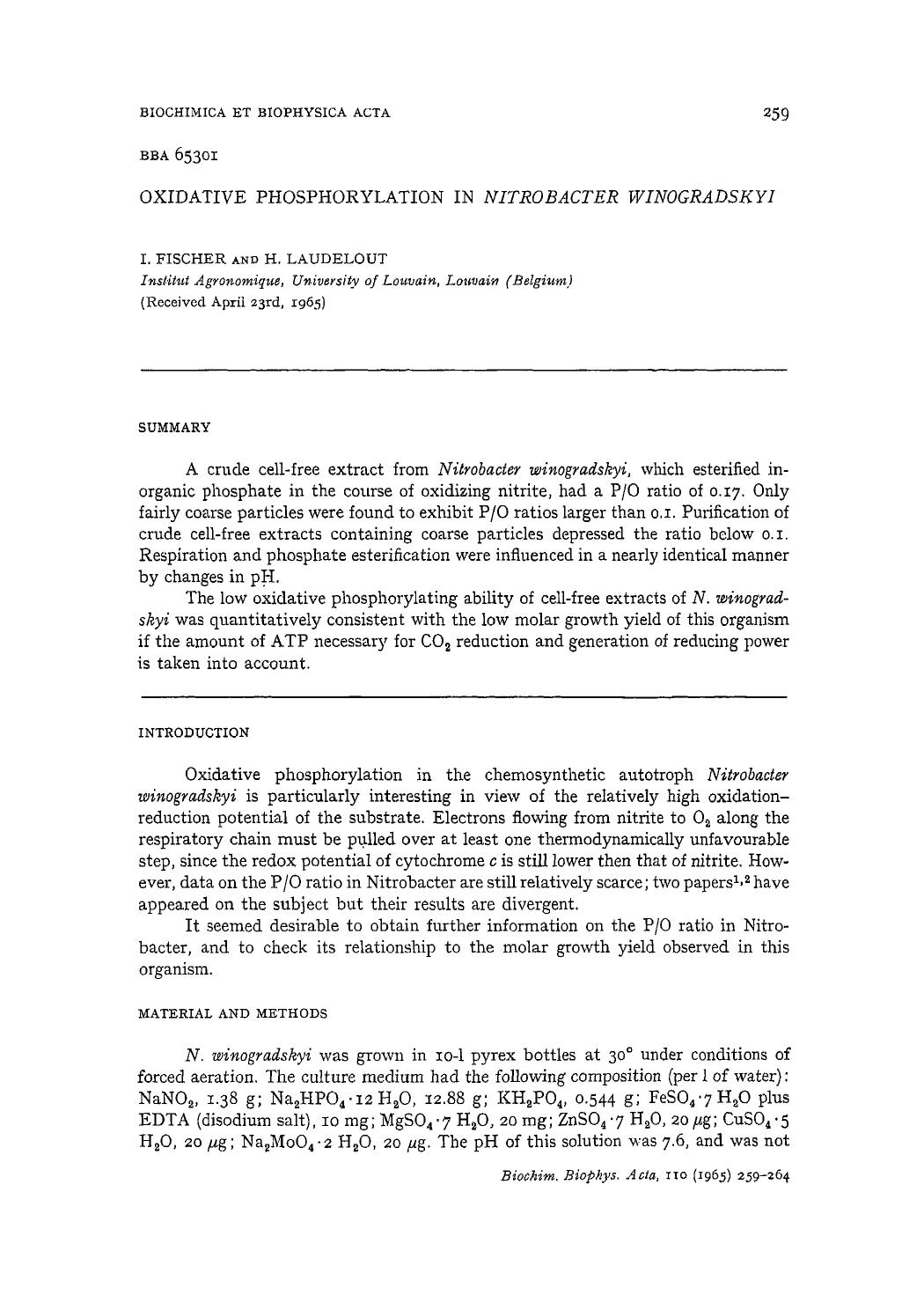 Oxidative phosphorylation in Nitrobacter winogradskyi by I. Fischer; H. Laudelout