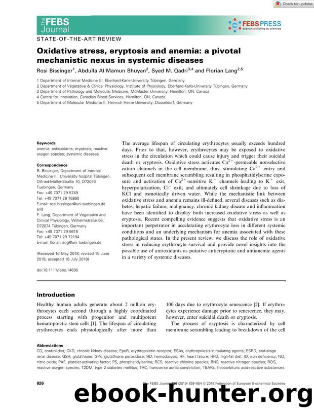 Oxidative stress, eryptosis and anemia: a pivotal mechanistic nexus in systemic diseases by Unknown