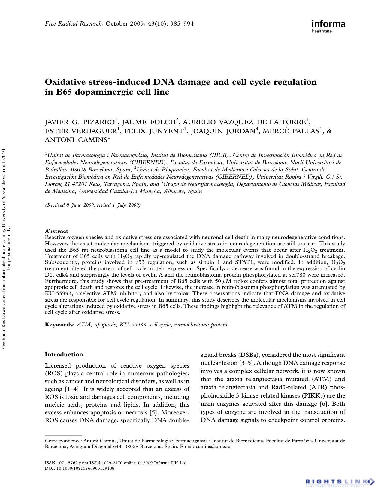 Oxidative stress-induced DNA damage and cell cycle regulation in B65 dopaminergic cell line by unknow
