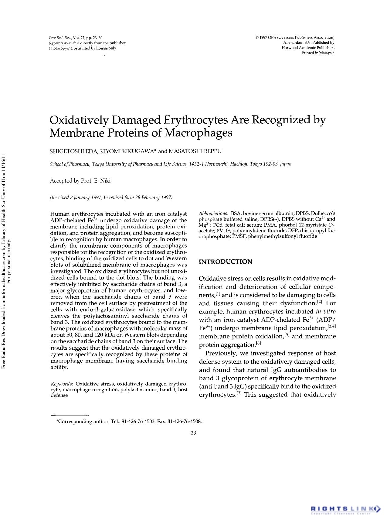 Oxidatively Damaged Erythrocytes Are Recognized by Membrane Proteins of Macrophages by Shigetoshi Eda1 Kiyomi Kikugawa1† & Masatoshi Beppu1