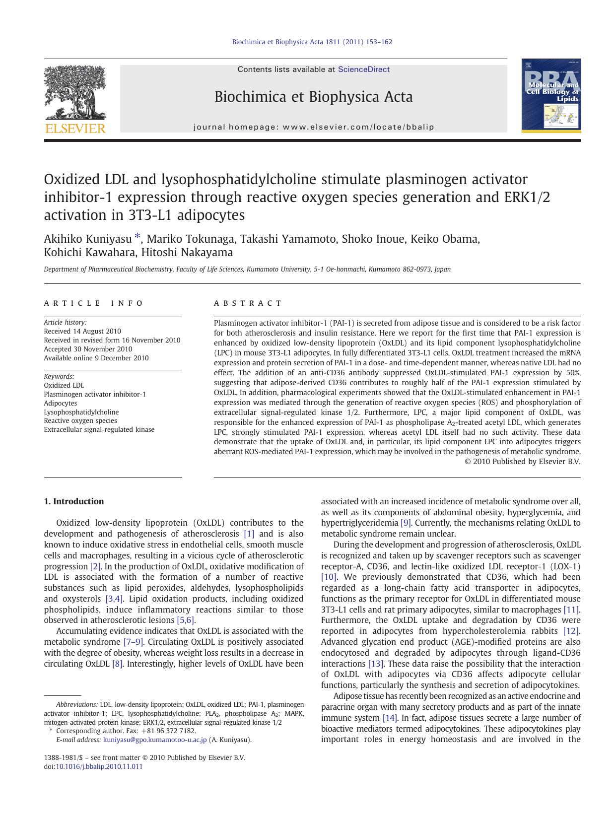 Oxidized LDL and lysophosphatidylcholine stimulate plasminogen activator inhibitor-1 expression through reactive oxygen species generation and ERK12 activation in 3T3-L1 adipocytes by Akihiko Kuniyasu