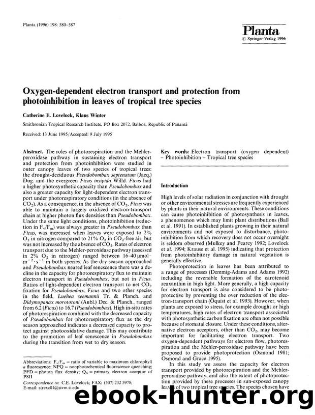 Oxygen-dependent electron transport and protection from photoinhibition in leaves of tropical tree species by Unknown
