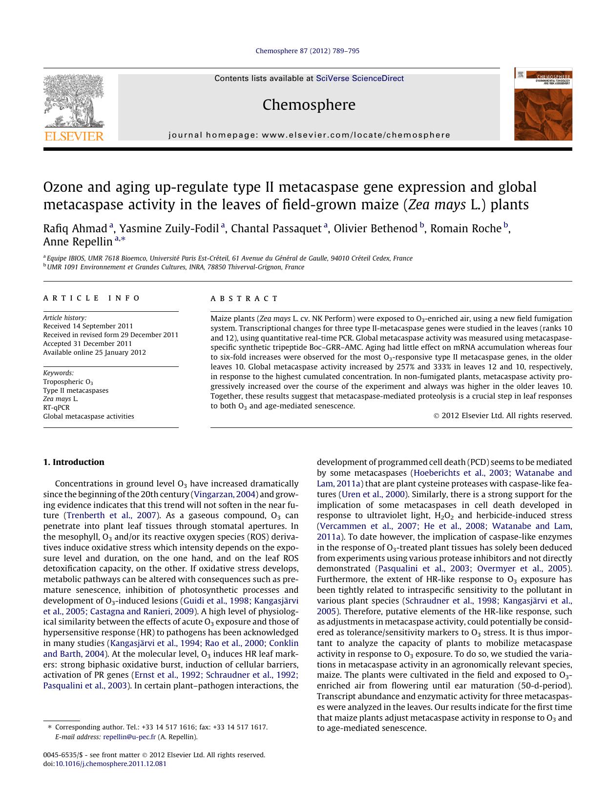 Ozone and aging up-regulate type II metacaspase gene expression and global metacaspase activity in the leaves of field-grown maize (Zea mays L.) plants by unknow