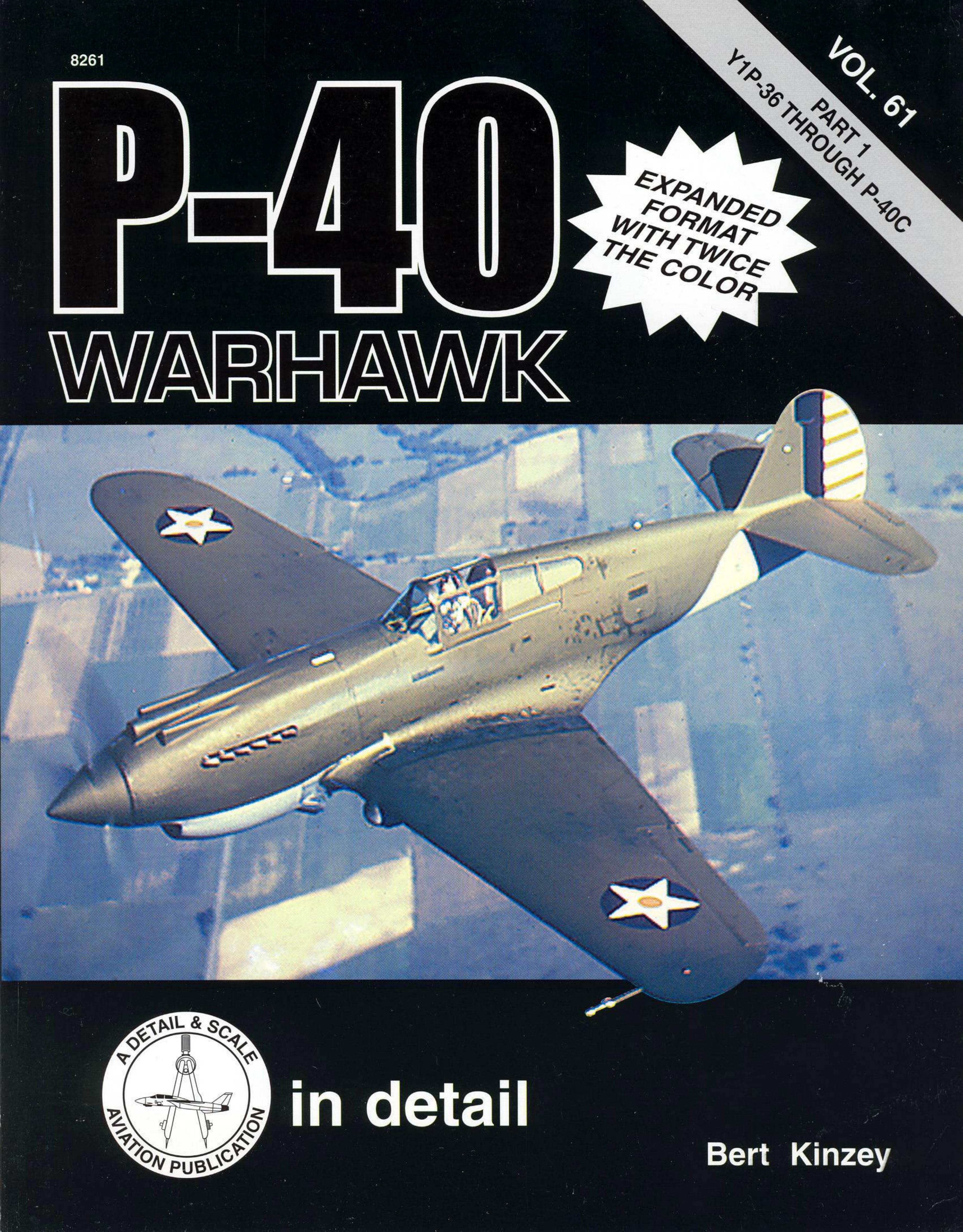 P-40 Warhawk by Bert Kinzey