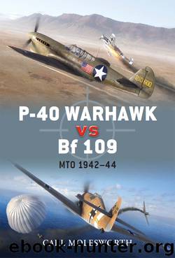 P-40 Warhawk vs Bf 109 by Carl Molesworth