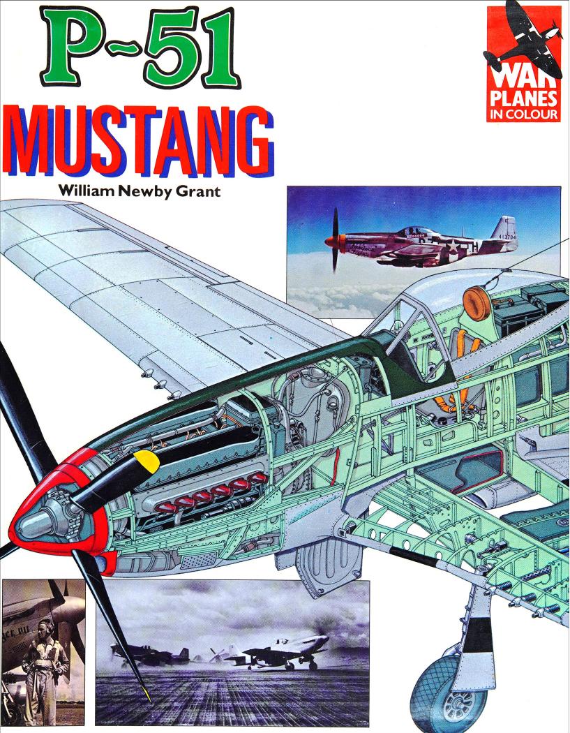 P-51 Mustang by Unknown