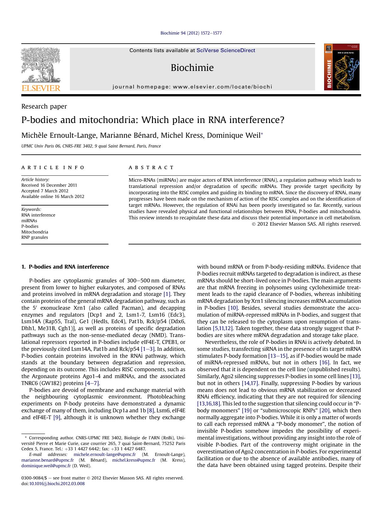 P-bodies and mitochondria: Which place in RNA interference? by Michèle Ernoult-Lange & Marianne Bénard & Michel Kress & Dominique Weil