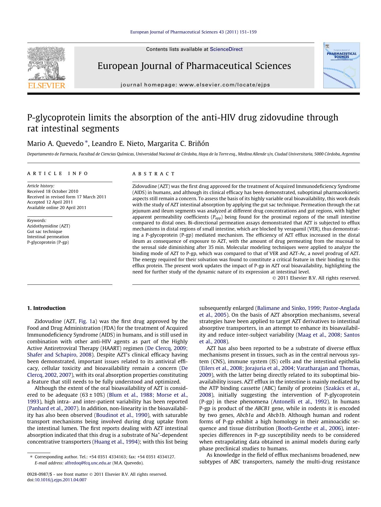 P-glycoprotein limits the absorption of the anti-HIV drug zidovudine through rat intestinal segments by Mario A. Quevedo & Leandro E. Nieto & Margarita C. Briñón