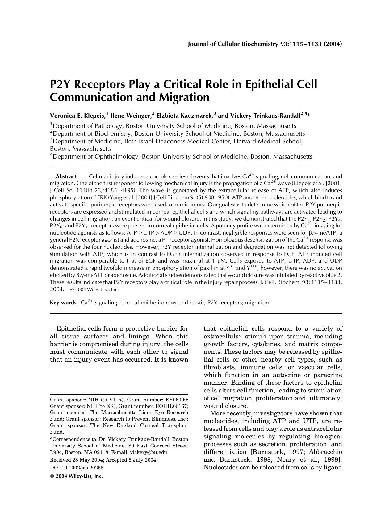 P2Y receptors play a critical role in epithelial cell communication and migration by Unknown