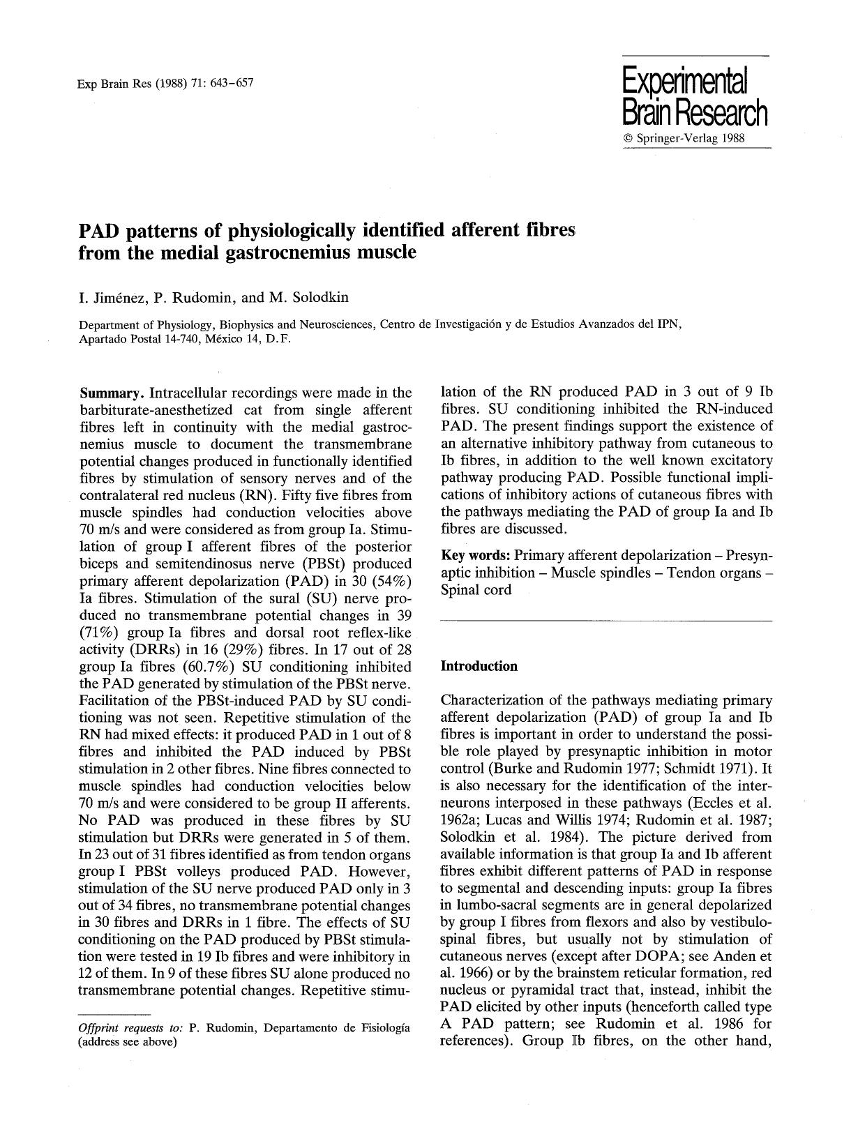 PAD patterns of physiologically identified afferent fibres from the medial gastrocnemius muscle by Unknown
