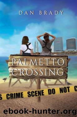 PALMETTO CROSSING by Dan Brady