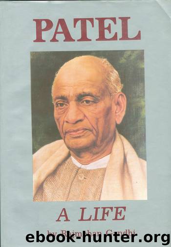 PATEL A LIFE by Rajmohan Gandhi