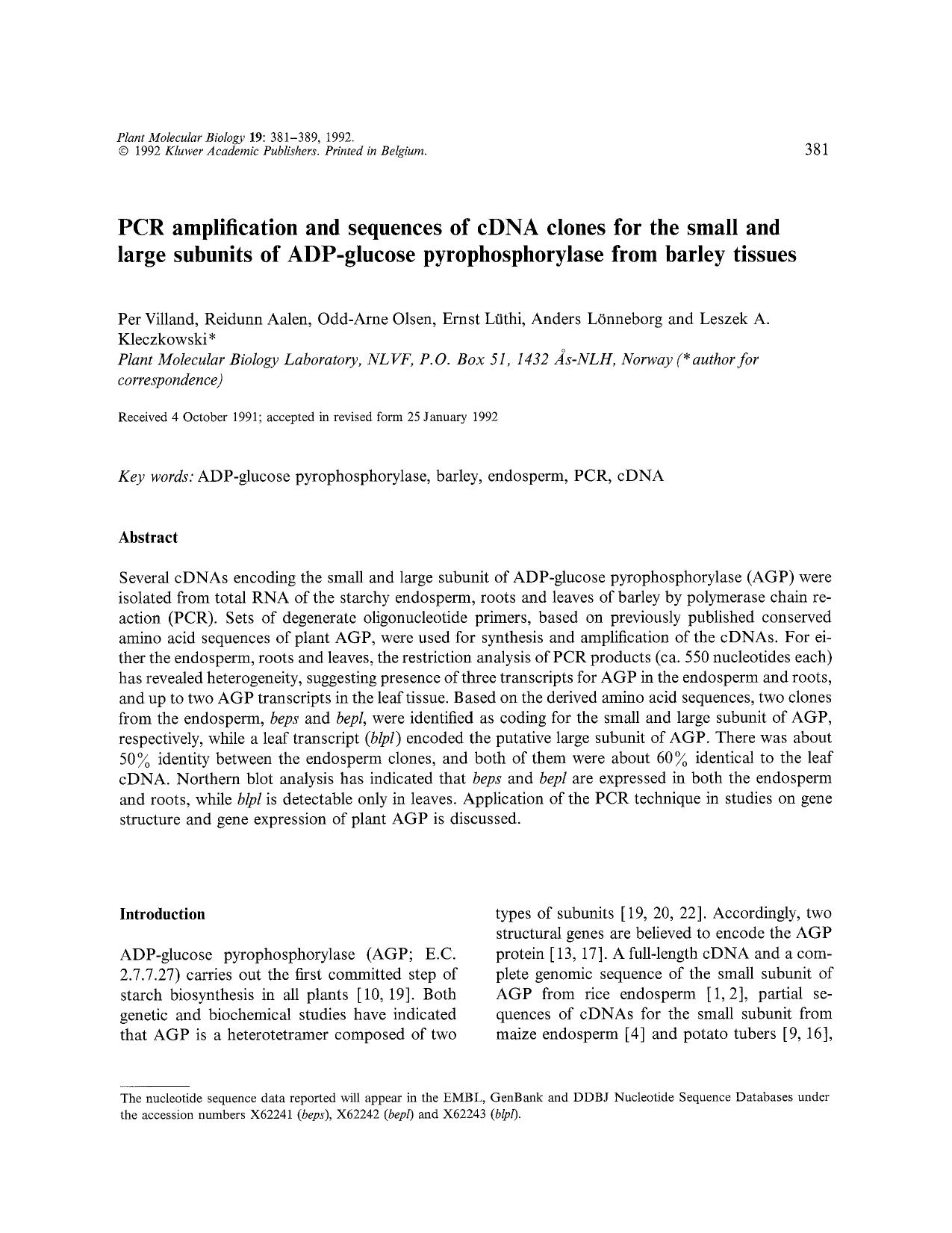 PCR amplification and sequences of cDNA clones for the small and large subunits of ADP-glucose pyrophosphorylase from barley tissues by Unknown
