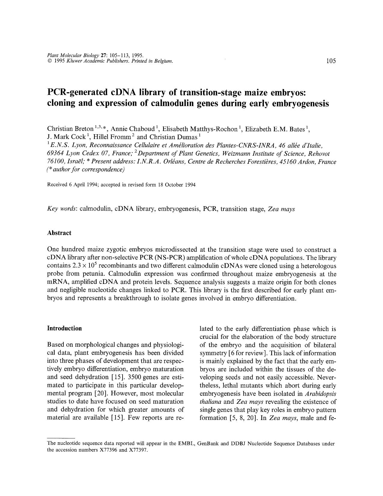 PCR-generated cDNA library of transition-stage maize embryos: cloning and expression of calmodulin genes during early embryogenesis by Unknown