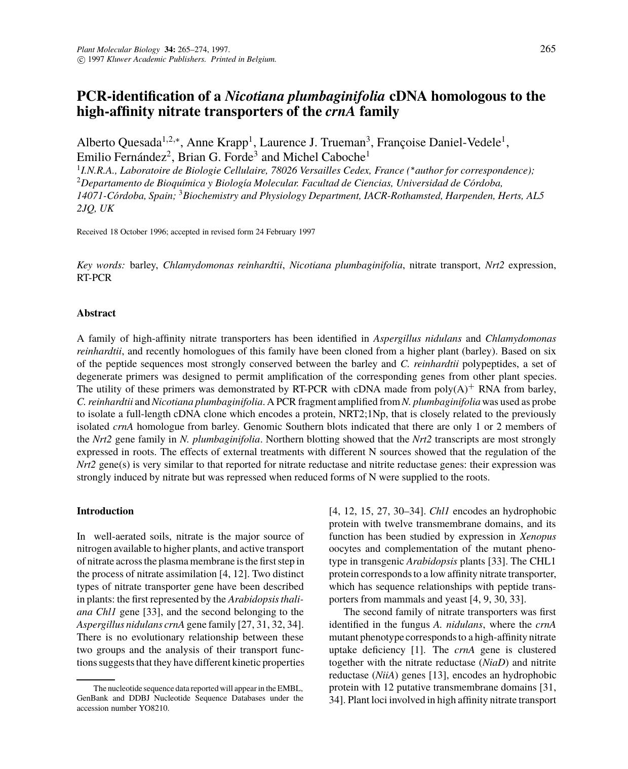 PCR-identification of a Nicotiana plumbaginifolia cDNA homologous to the high-affinity nitrate transporters of the crnA family by Unknown