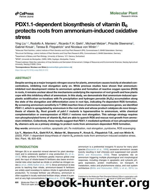 PDX1.1-dependent biosynthesis of vitamin B6 protects roots from ammonium-induced oxidative stress by unknow
