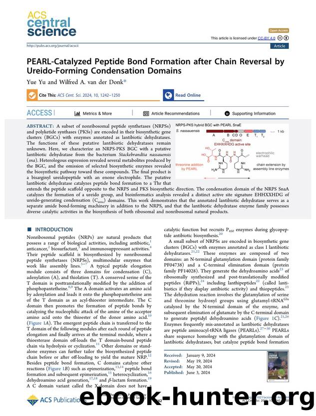 PEARL-Catalyzed Peptide Bond Formation after Chain Reversal by Ureido-Forming Condensation Domains by Yue Yu (ORCID: g/0000-0001-8306-4648) & Wilfred A. van der Donk (ORCID: g/0000-0002-5467-7071)