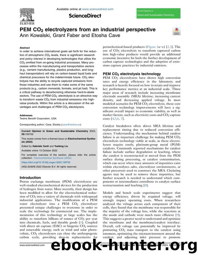 PEM CO2 electrolyzers from an industrial perspective by Ann Kowalski & Grant Faber & Etosha Cave