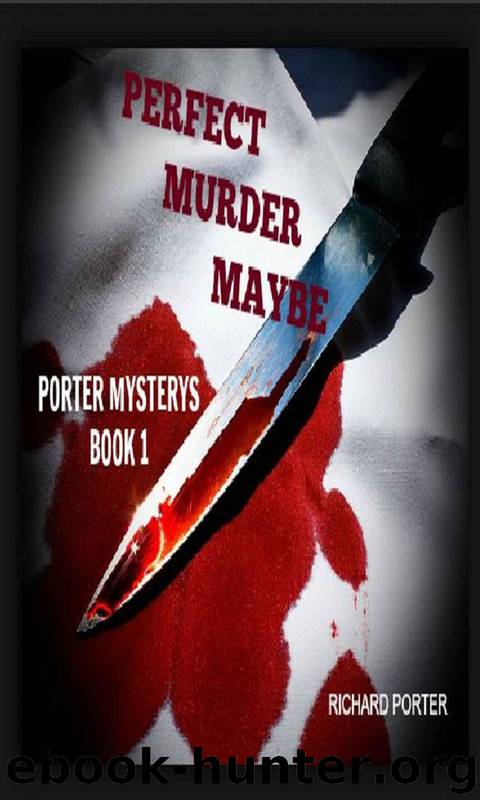 PERFECT MURDER MAYBE; Porter Mysterys Book 1: Murder Horror Flash by Richard Porter