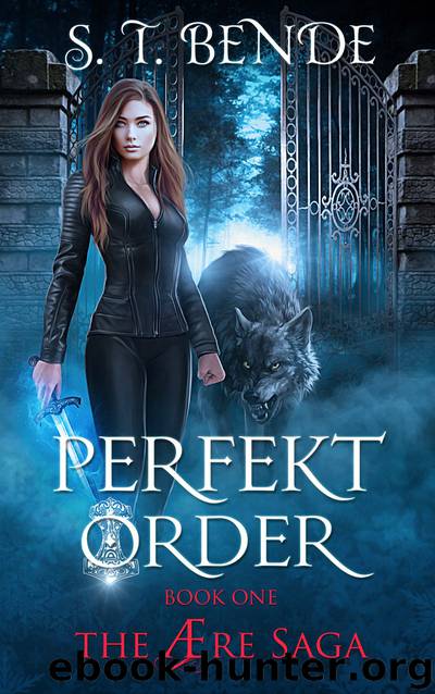 PERFEKT ORDER: THE ÆRE SAGA: BOOK ONE by S.T. BENDE