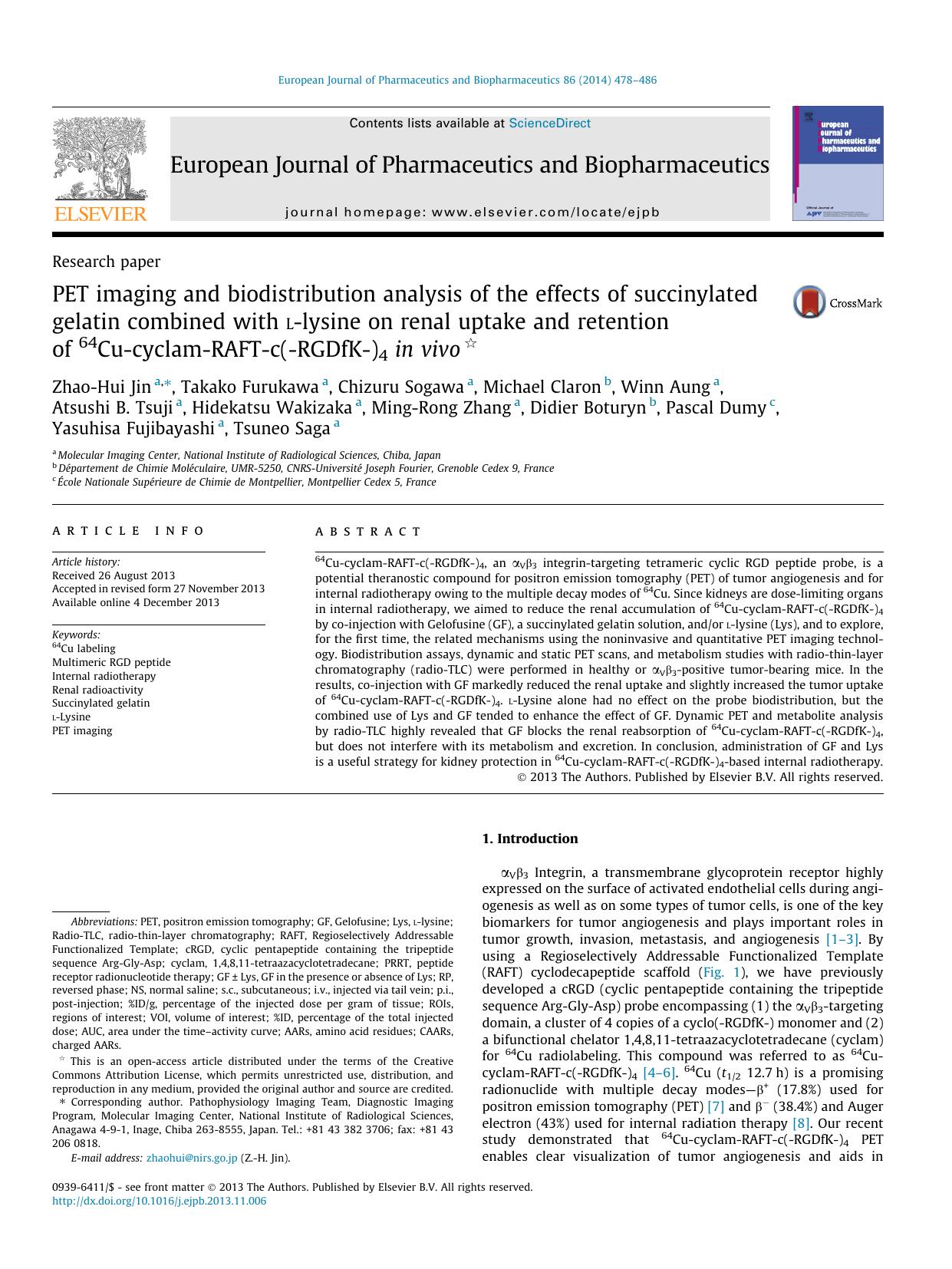 PET imaging and biodistribution analysis of the effects of succinylated gelatin combined with l-lysine on renal uptake and retention of 64Cu-cyclam-RAFT-c(-RGDfK-)4 in vivo by unknow