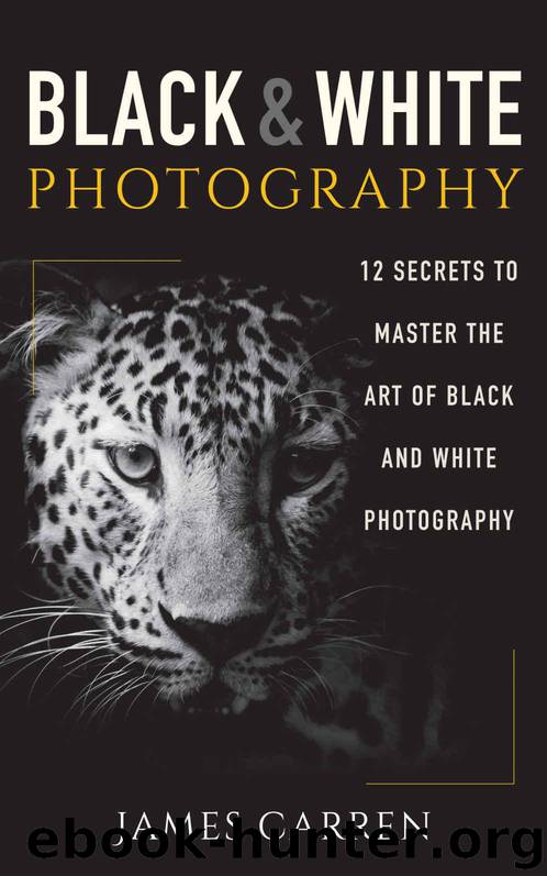 PHOTOGRAPHY: Black and White Photography - 12 Secrets to Master The Art of Black and White Photography (Photography, Photoshop, Digital Photography, Photography Books, Photography Magazines) by Carren James