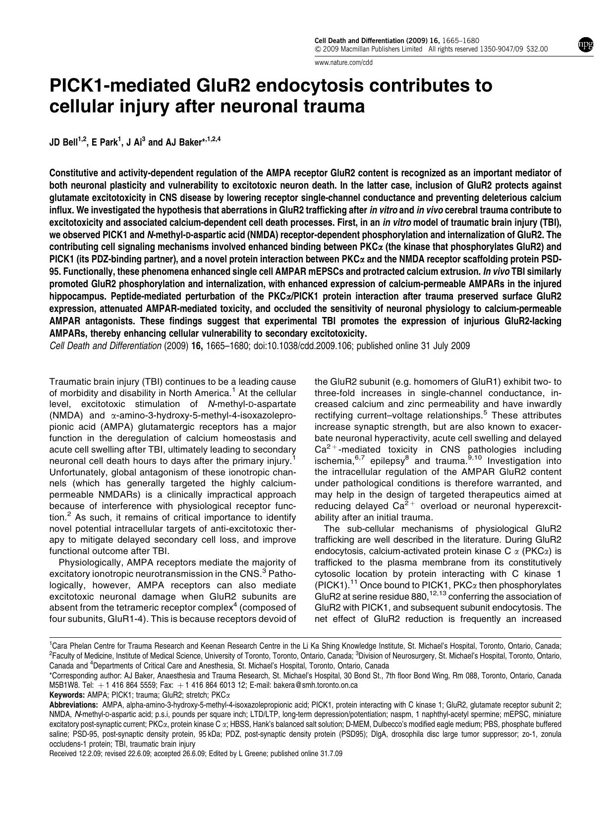 PICK1-mediated GluR2 endocytosis contributes to cellular injury after neuronal trauma by J D Bell & E Park & J Ai & A J Baker