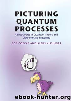PICTURING QUANTUM PROCESSES: A First Course in Quantum Theory and Diagrammatic Reasoning by Coecke Bob & Kissinger Aleks