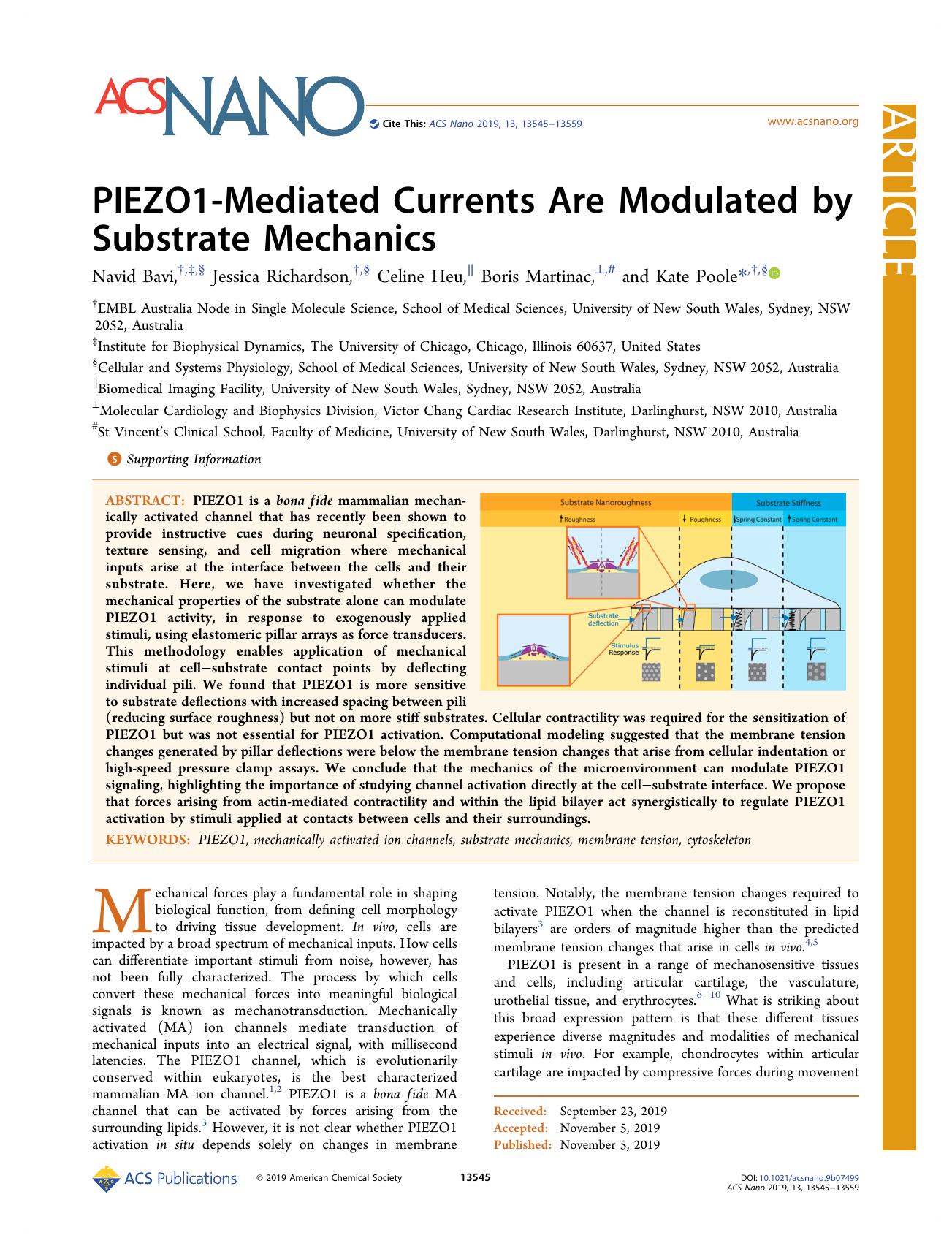 PIEZO1-Mediated Currents Are Modulated by Substrate Mechanics by Navid Bavi Jessica Richardson Celine Heu Boris Martinac and Kate Poole