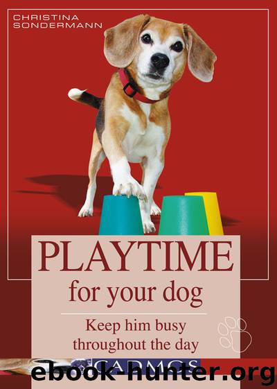 PLAYTIME FOR YOUR DOG by Christina Sondermann