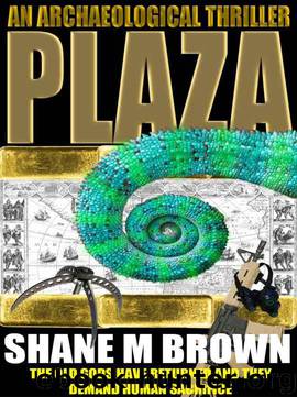 PLAZA by Brown Shane M