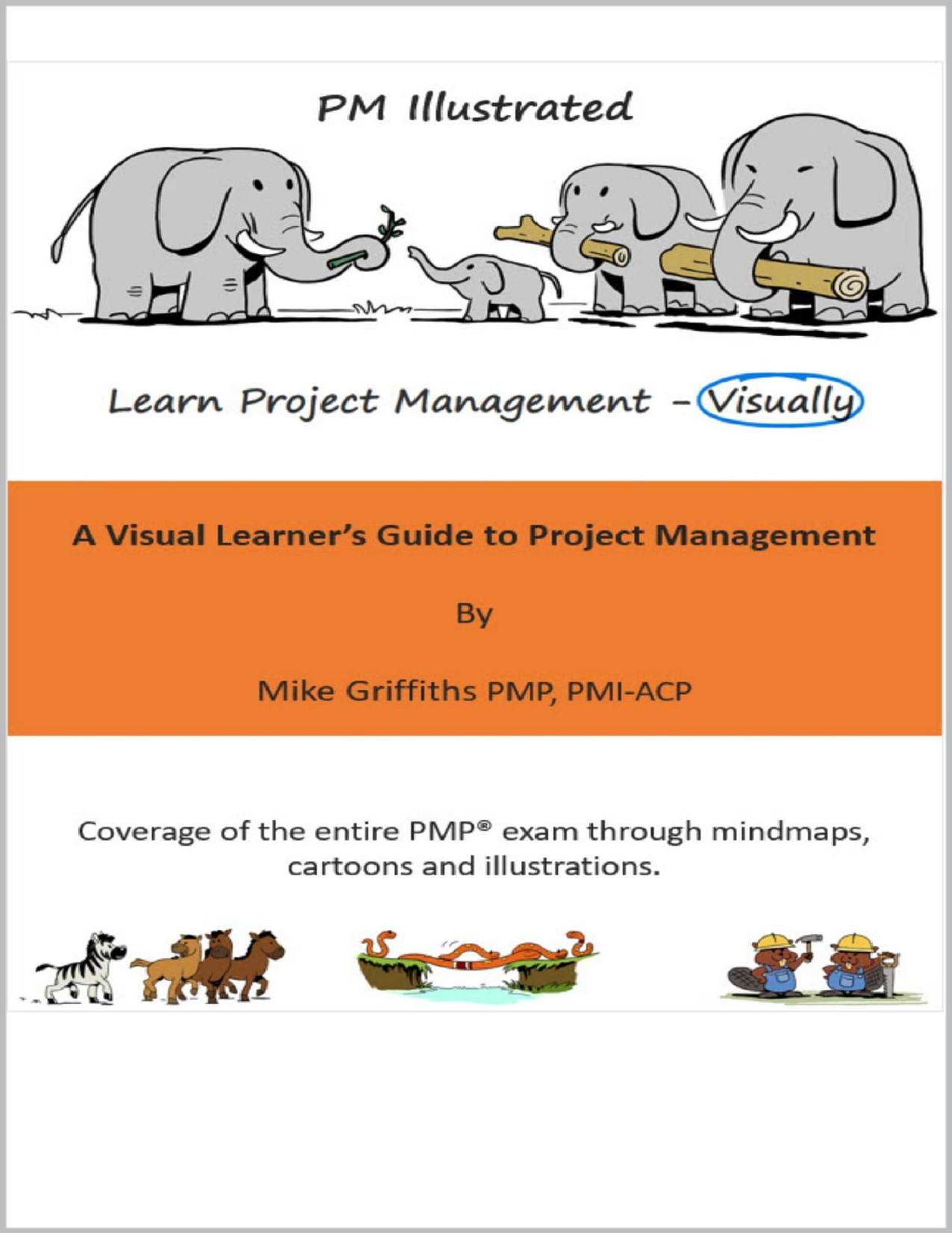 PM Illustrated A Visual Learner's Guide to Project Management by Mike Griffiths